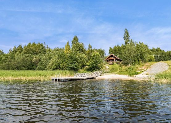 Koivupiha