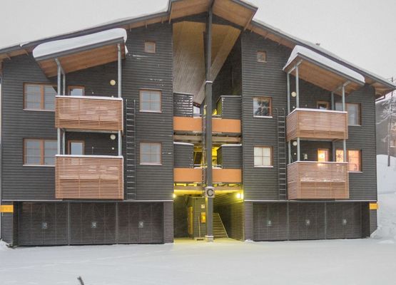 Karhunvartijan linna c24