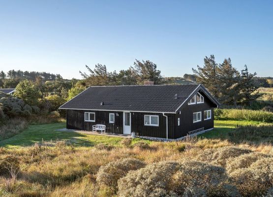 "Martin" - 325m from the sea in NW Jutland