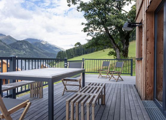 Superior #68 mit IR-Sauna