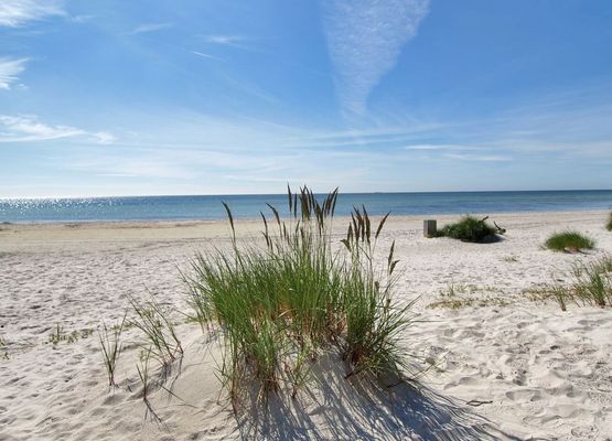 "Windelgard" - 140m from the sea