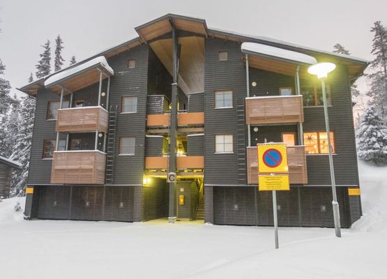 Karhunvartijan linna c24