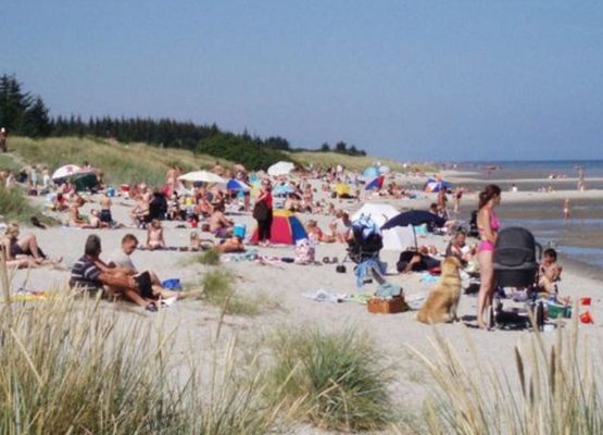 "Smilla" - 1.1km from the sea